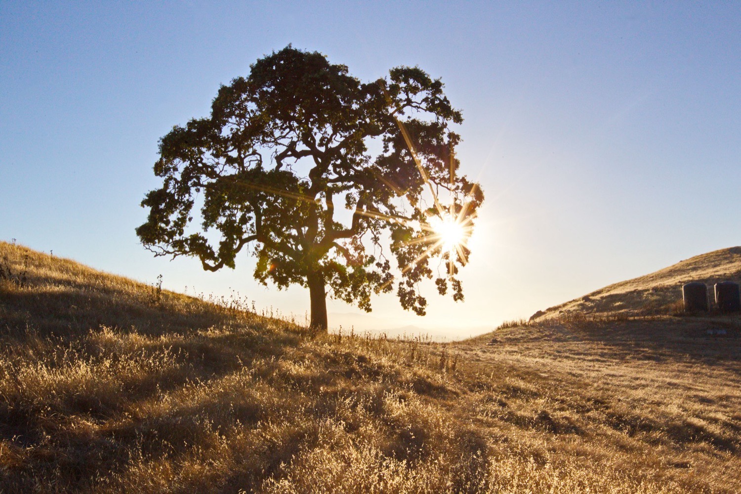 Golden foothills at sunrise